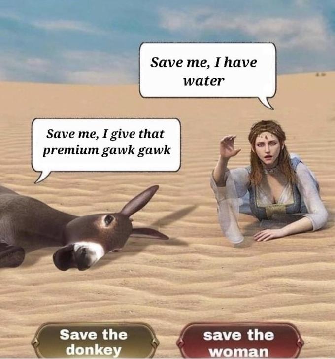 Save me, I have water Save me, I give that premium gawk gawk Save the donkey save the woman