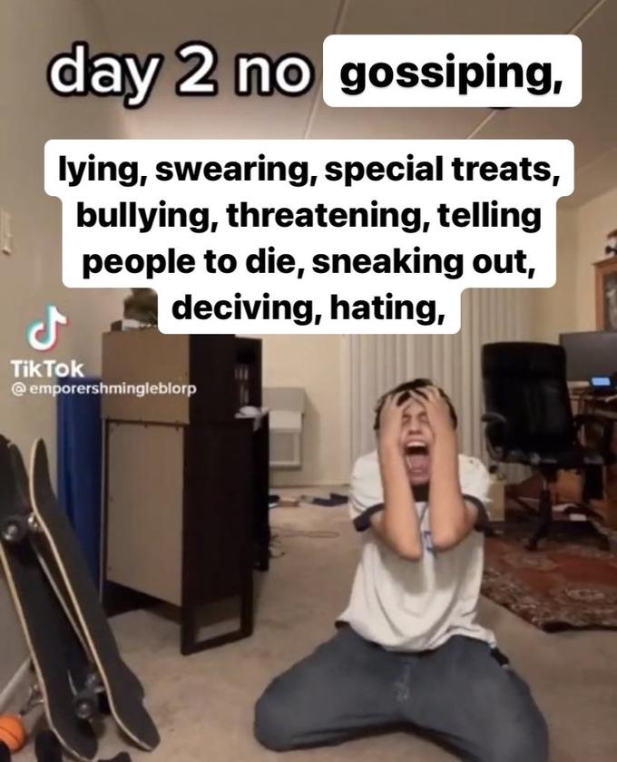 day 2 no gossiping, lying, swearing, special treats, bullying, threatening, telling people to die, sneaking out, deciving, hating, J Tik Tok @emporershmingleblorp
