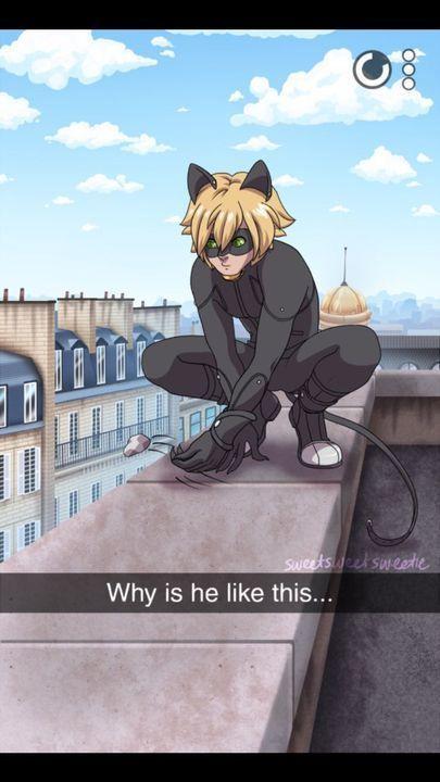 ********* ***** 10100 COMME 18.0 Sweetsweet sweetie Why is he like this...