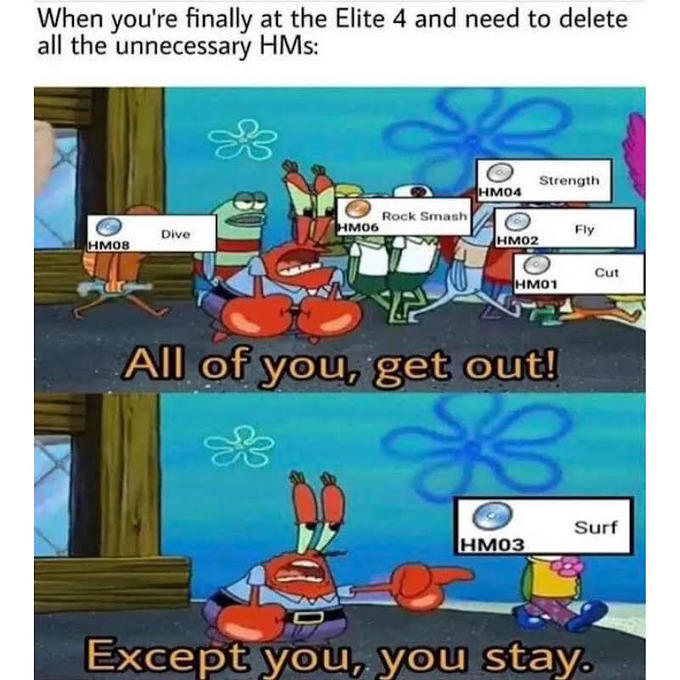 When you're finally at the Elite 4 and need to delete all the unnecessary HMs: HM08 Dive HM06 SUR Rock Smash HM04 HM02 Strength HM01 HM03 Fly All of you, get out! 3 Cut Surf Except you, you stay.