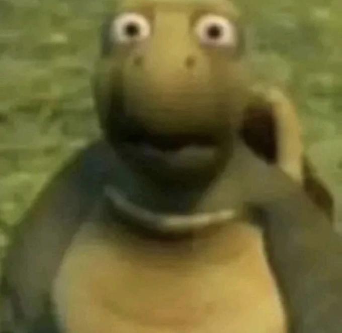 Shocked Turtle Reaction Image (SD) | Shocked Turtle / HUH | Know Your Meme
