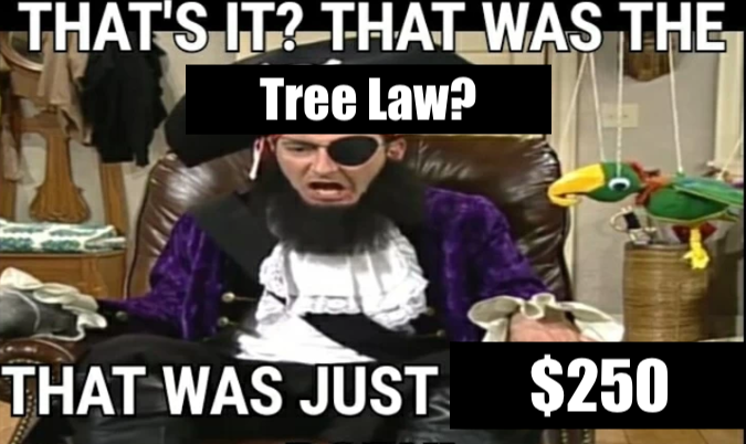 THAT'S IT? THAT WAS THE Tree Law? thu THAT WAS JUST $250