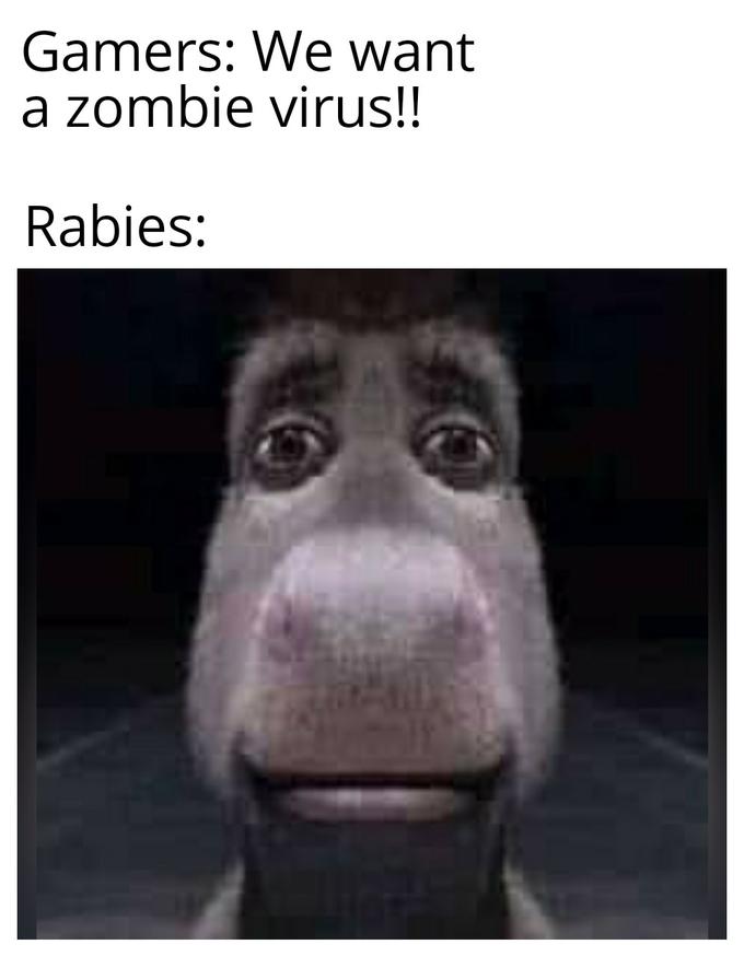 Gamers: We want a zombie virus!! Rabies: