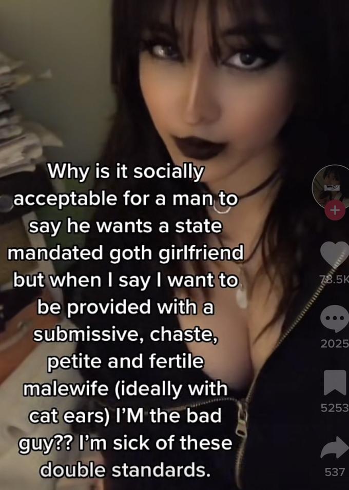 Why is it socially acceptable for a man to say he wants a state mandated goth girlfriend but when I say I want to be provided with a submissive, chaste, petite and fertile malewife (ideally with cat ears) I'M the bad guy?? I'm sick of these double standards. + 78.5K 2025 5253 537