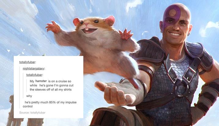 totallyfubar: nightstargalaxy: totallyfubar: My hamster is on a cruise so while he's gone I'm gonna cut the sleeves off of all my shirts why he's pretty much 85% of my impulse control Source: totallyfubar 350