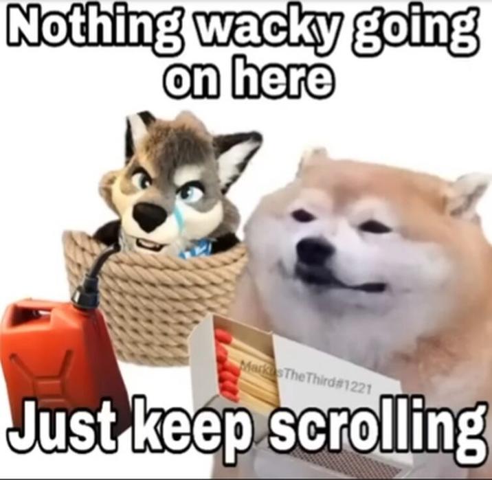 Nothing wacky going on here Markas The Third#1221 Just keep scrolling