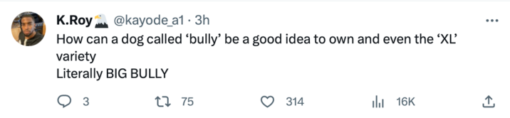 K.Roy @kayode_a1 3h How can a dog called 'bully' be a good idea to own and even the 'XL' variety Literally BIG BULLY 3 1 75 314 ₁16K ...