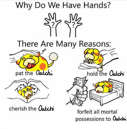 Why Do We Have Hands? There Are Many Reasons: pat the Oatchi cherish the Oatchi hold the Oatchi forfeit all mortal possessions to Oatchi