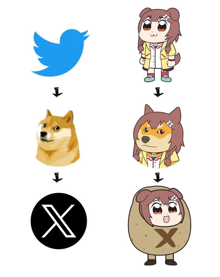 X X