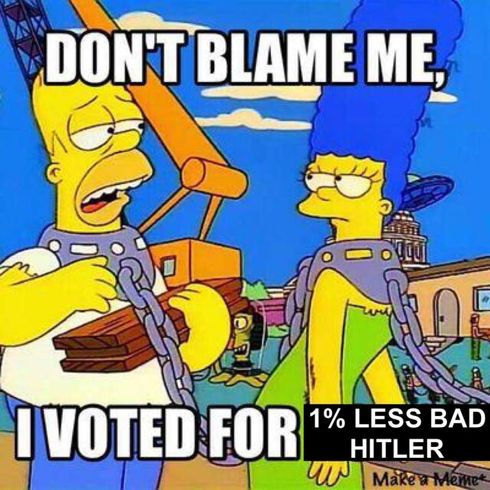 DON'T BLAME ME, tu AE GRIG IVOTED FOR 1% LESS BAD HITLER W Make a Meme