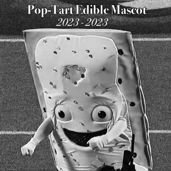 Pop-Tart Edible Mascot 2023-2023