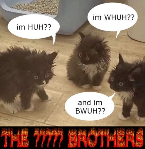 im HUH?? im WUH?? and im BWUH?? THE ????? BROTHERS | Know Your Meme