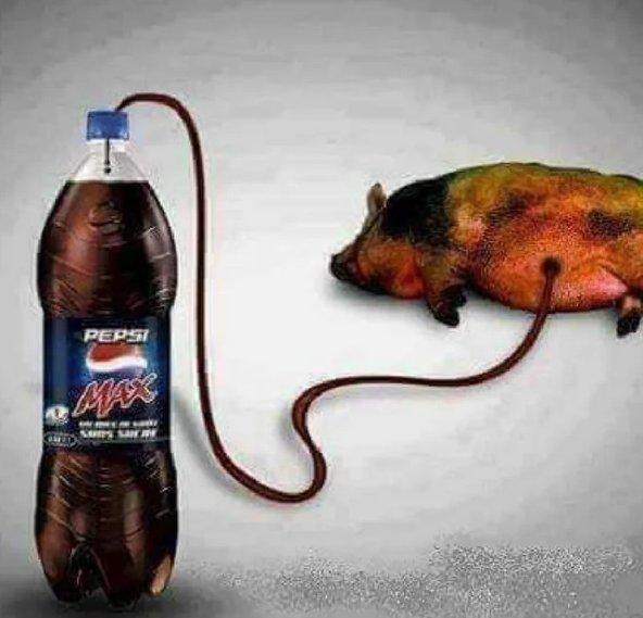 PEPSI SAR'S SATI