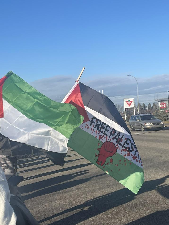 Conntuar FREE PALEST CIBCO