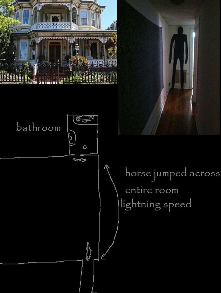POMPA bathroom XXXXXXXXX 000000 horse jumped ac across entire room lightning speed