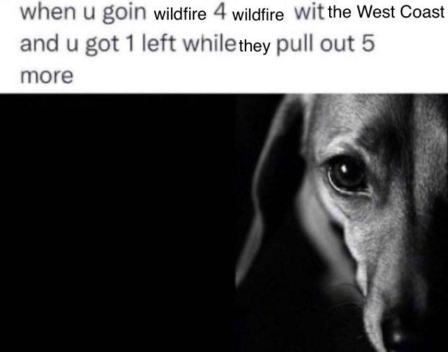 when u goin wildfire 4 wildfire wit the West Coast and u got 1 left while they pull out 5 more