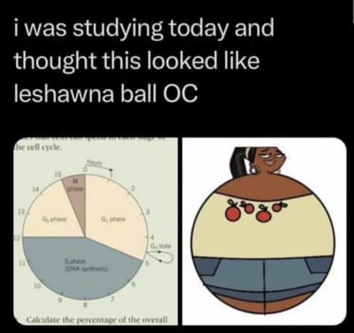 i was studying today and thought this looked like leshawna ball OC the cell cycle. Calculate the percentage of the overall gogo