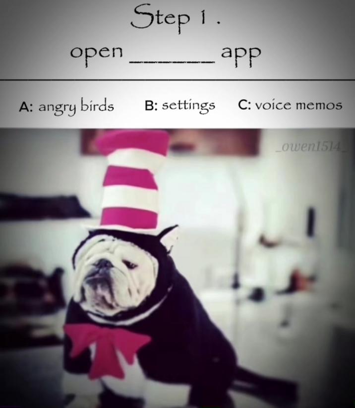 open A: angry birds Step 1. B: settings app C: voice memos owen1514