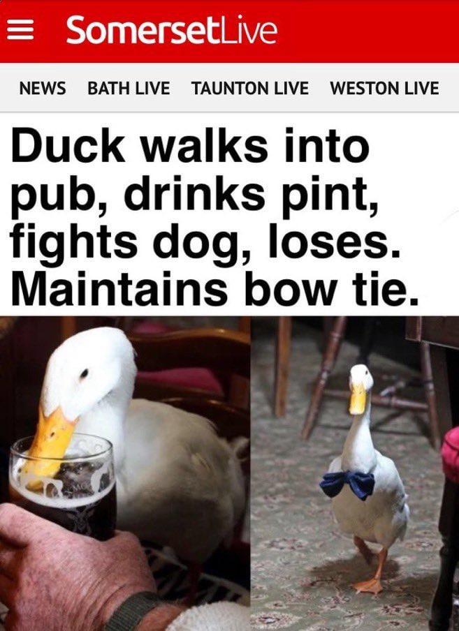 24 Brand New Sentences To Ponder Know Your Meme