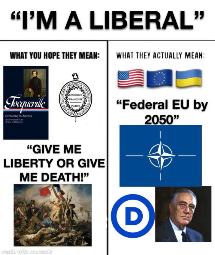 I'm a Liberal What You Hope They Mean vs. What They Really Mean