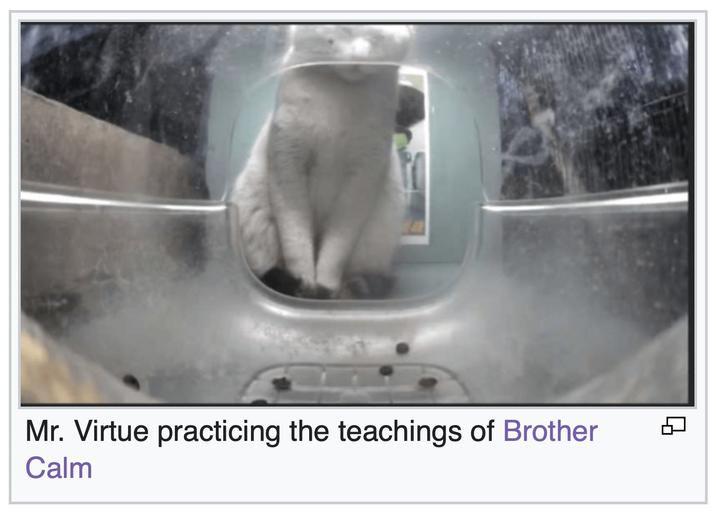 Mr. Virtue practicing the teachings of Brother Calm