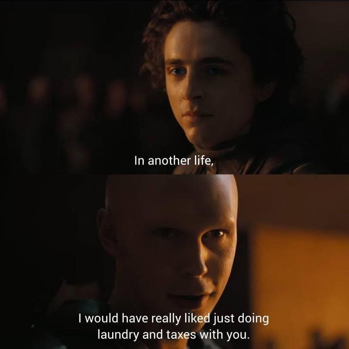 In Another Life, I Would Have Really Liked Just Doing Laundry and Taxes