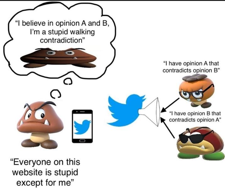 "I believe in opinion A and B, I'm a stupid walking contradiction" "Everyone on this website is stupid except for me" "I have opinion A that contradicts opinion B" "I have opinion B that contradicts opinion A"