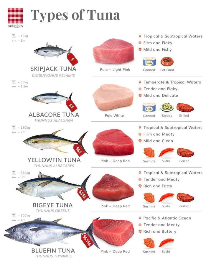 Types Of Tuna Infographic Dumps Know Your Meme