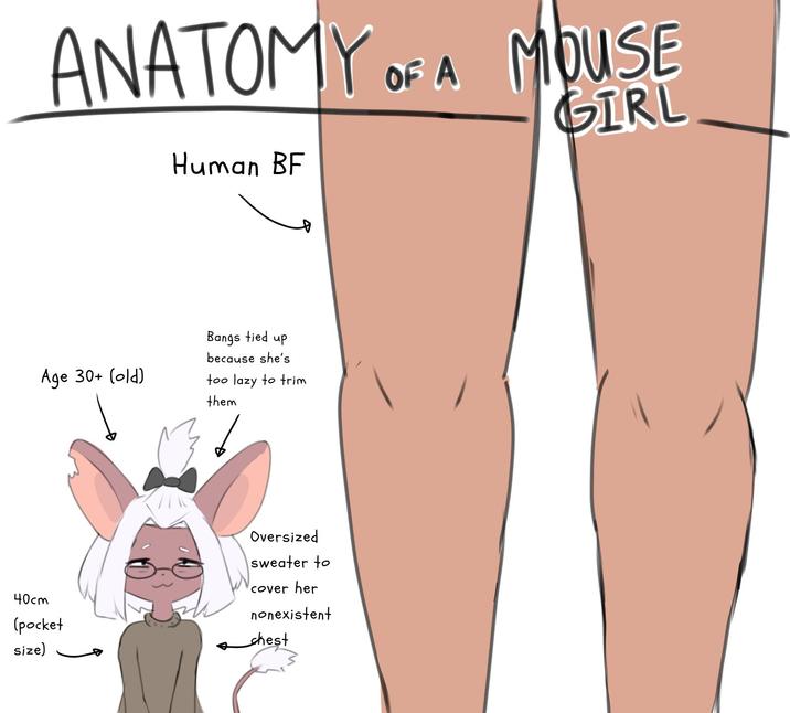 ANATOMY OF A MOUSE Human BF мы GIRL Age 30+ (old) Bangs tied up because she's too lazy to trim them 40cm (pocket size) Oversized sweater to cover her nonexistent • chest