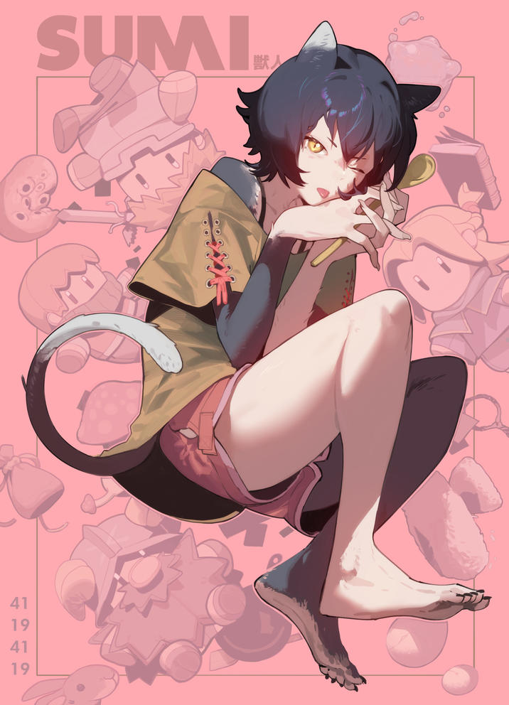 41 19 41 19 SUMI 獣人