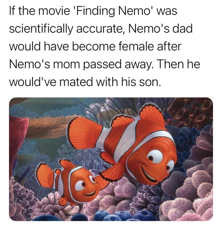 Biologically Accurate Nemo Finding Nemo Know Your Meme Biologically Accurate Nemo Finding Nemo Know Your Meme