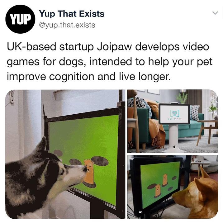 YUP Yup That Exists @yup.that.exists UK-based startup Joipaw develops video games for dogs, intended to help your pet improve cognition and live longer. JOIPAW