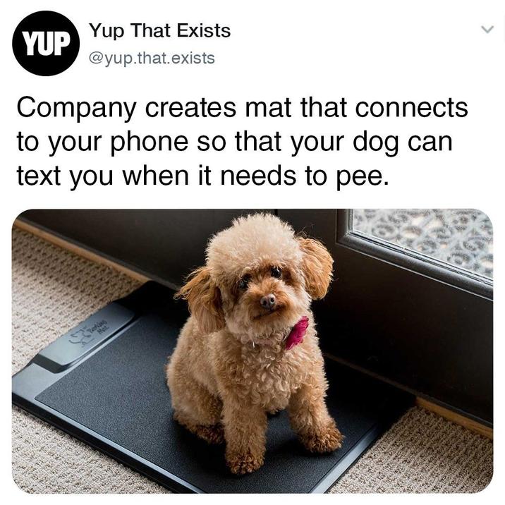 YUP Yup That Exists @yup.that.exists Company creates mat that connects to your phone so that your dog can text you when it needs to pee.