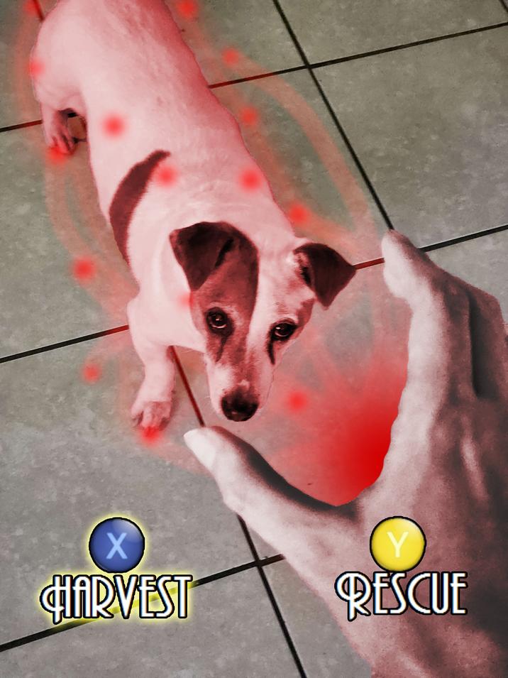 X Y HARVEST RESCUE