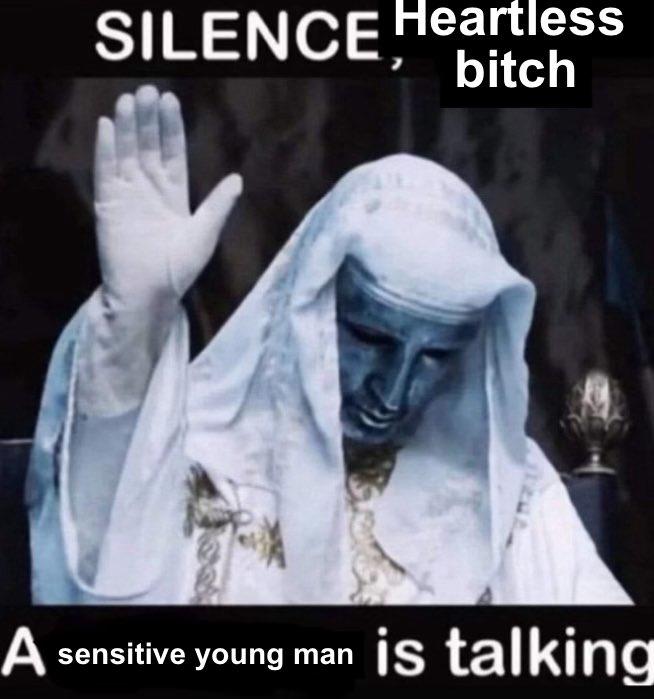 SILENCE Heartless bitch A sensitive young man is talking