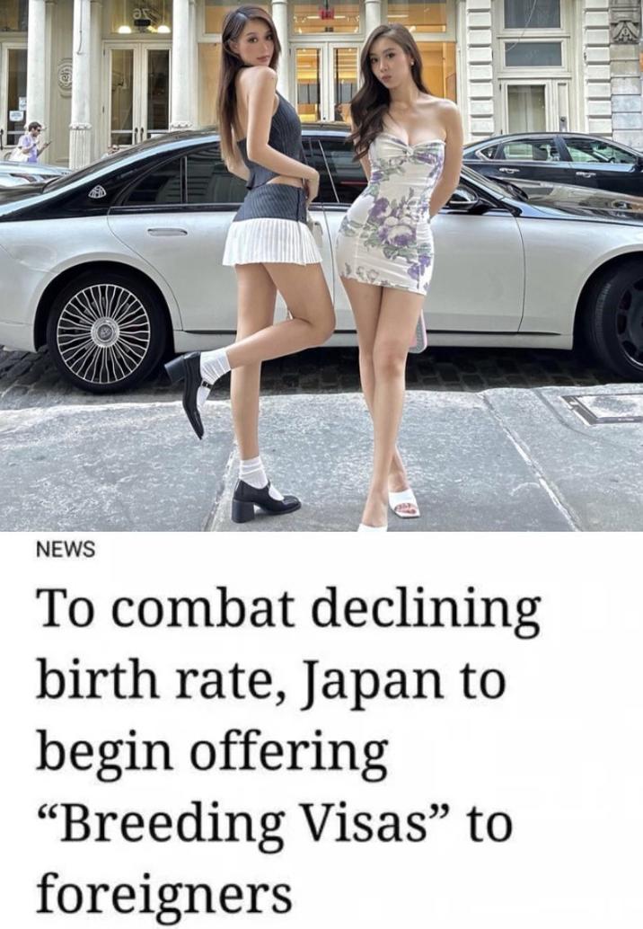 NEWS To combat declining birth rate, Japan to begin offering "Breeding Visas" to foreigners