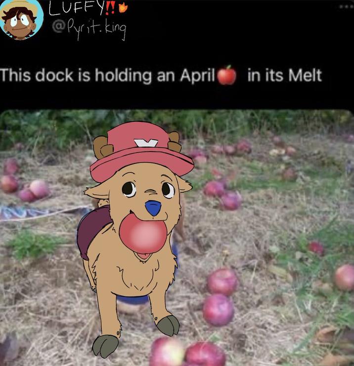 LUFFY!!! @Pyrit.king This dock is holding an April in its Melt