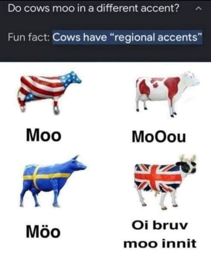 International Cows Know Your Meme