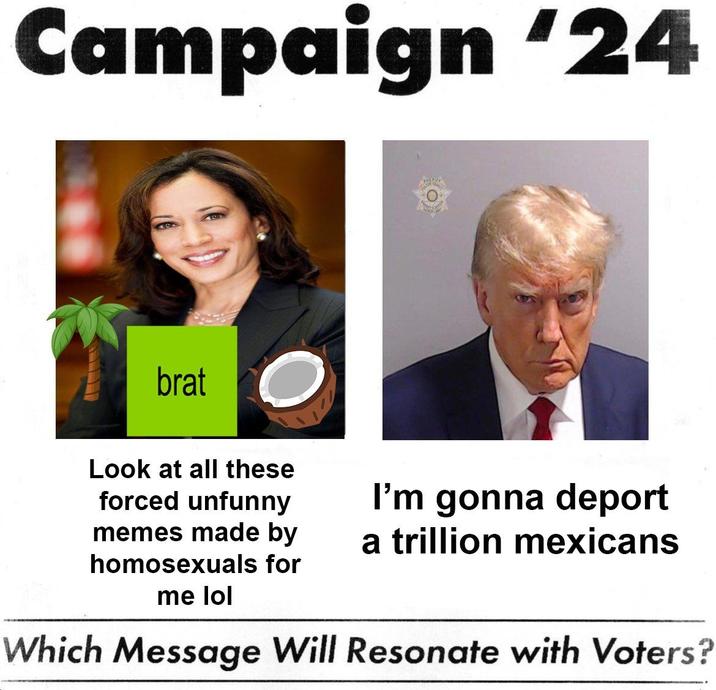 Campaign '24 brat Look at all these forced unfunny memes made by homosexuals for me lol I'm gonna deport a trillion mexicans Which Message Will Resonate with Voters?