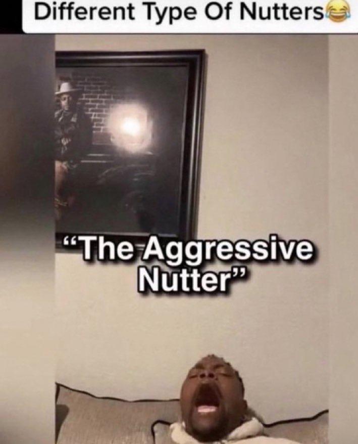 Different Type Of Nutterse "The Aggressive Nutter"