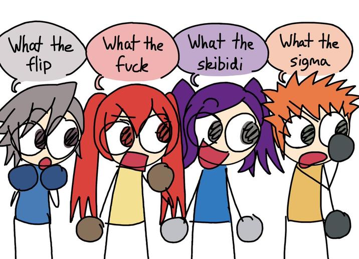 What the flip What the f--- What the What the skibidi sigma