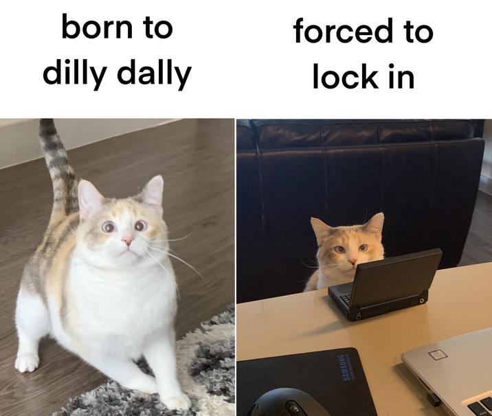 born to dilly dally forced to lock in SAMSUNG 8