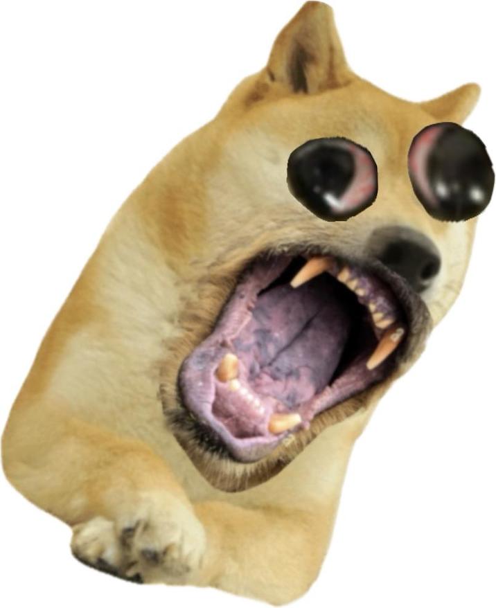 Le Angry Doge Has Arrived r dogelore Ironic Doge Memes Know Your 