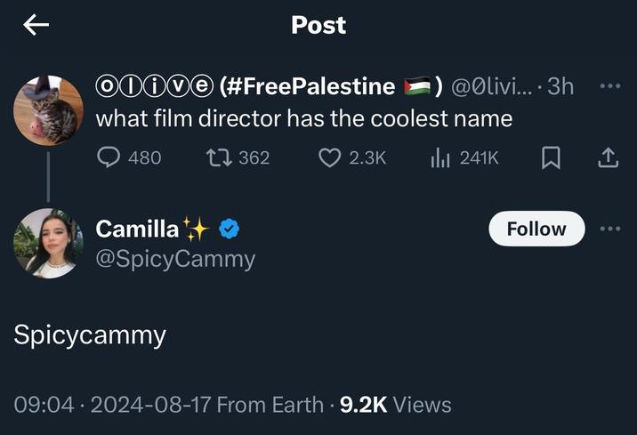Post Olive (#FreePalestine) @Olivi....3h what film director has the coolest name 480 17362 2.3K Ilil 241K ☐ Camilla ⭑ @SpicyCammy Spicycammy 09:04.2024-08-17 From Earth 9.2K Views Follow
