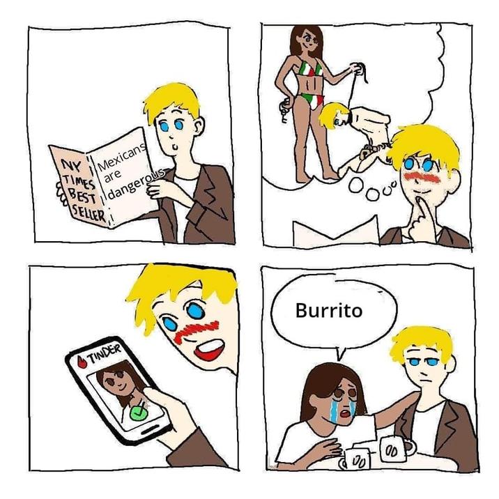 NY TIMES Mexicans are Idangerous BEST SELLER ! TINDER Burrito 0000 00