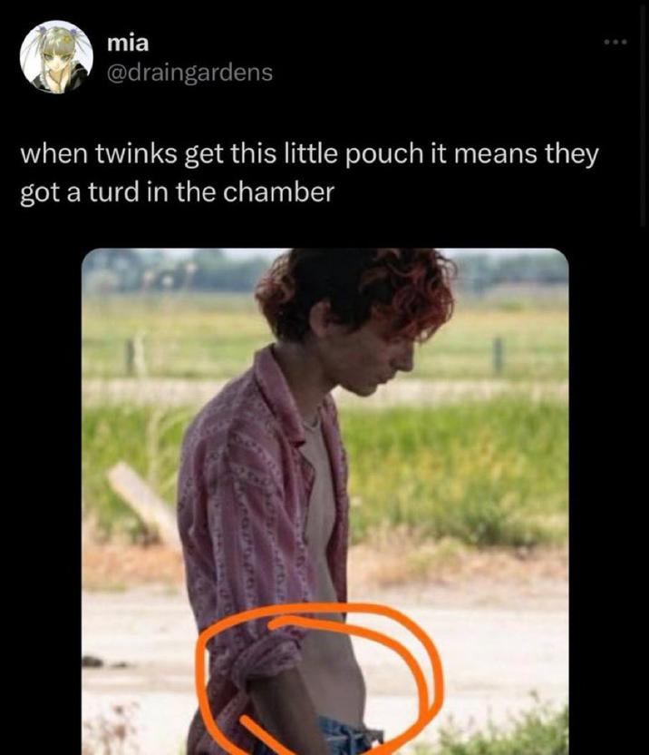 mia @draingardens when twinks get this little pouch it means they got a turd in the chamber 800