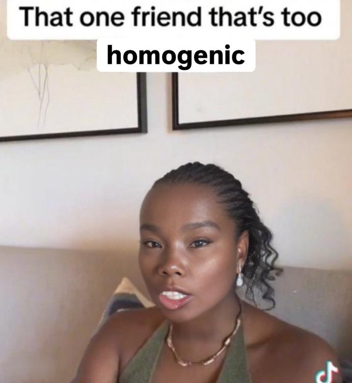 ရာ That one friend that's too homogenic