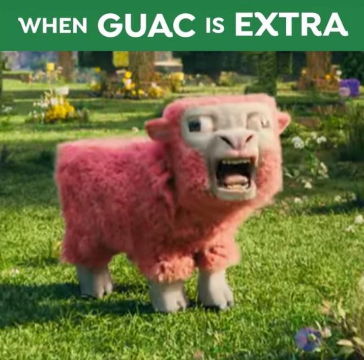 WHEN GUAC IS EXTRA
