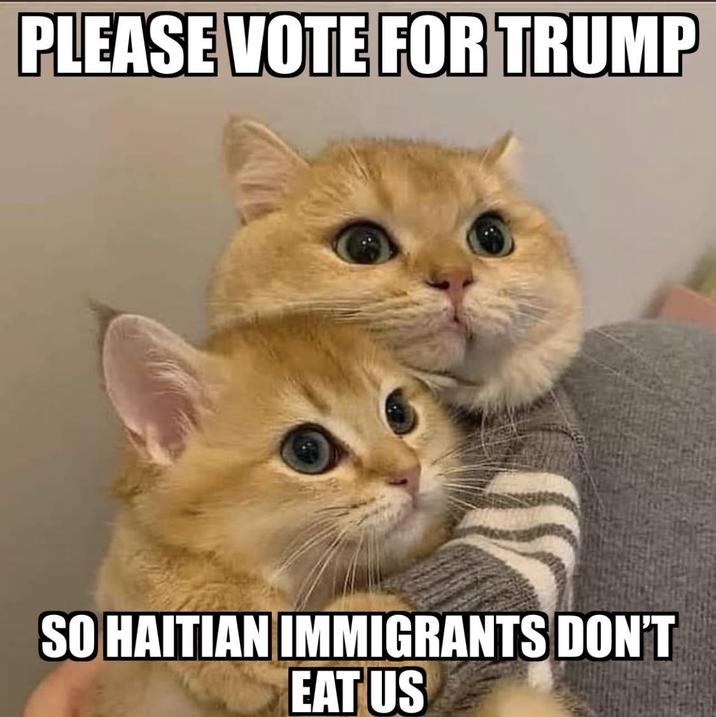 PLEASE VOTE FOR TRUMP SO HAITIAN IMMIGRANTS DON'T EAT US