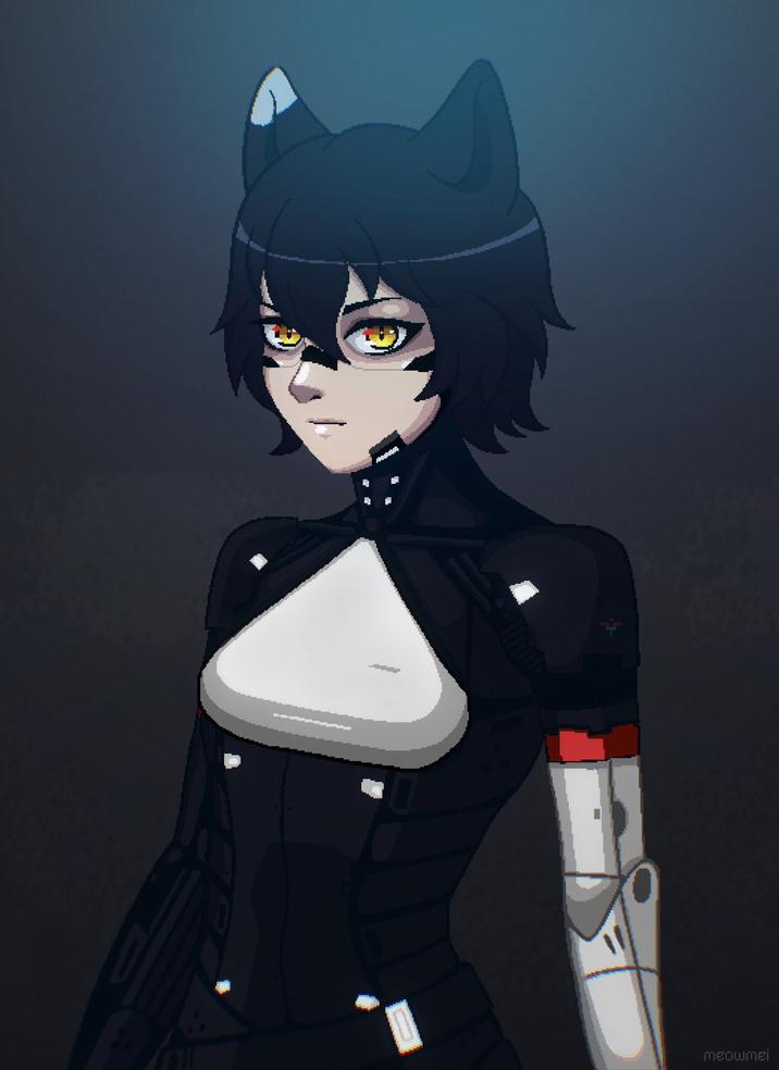 10 meowmei